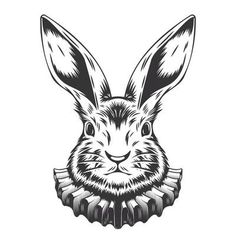 the head of a rabbit in an ornament on a white background stock illustration