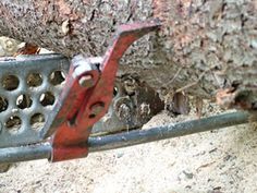 an old rusted metal tool attached to a tree