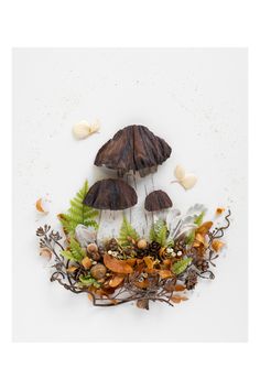 an arrangement of mushrooms and leaves on a white background