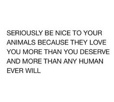 a pink background with black text that says seriously be nice to your animals because they love you more than you deserves and more than any human ever will