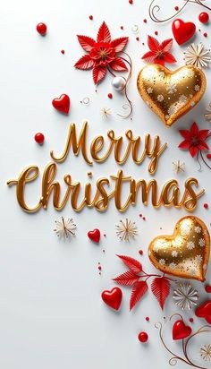 merry christmas card with gold hearts and poinsettis on white background, 3d rendering