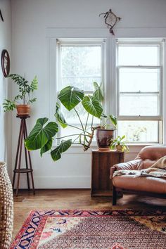 a living room filled with furniture and plants