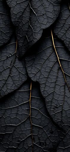 black and gold leaves are arranged in the shape of an intricate pattern on a dark background