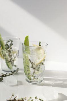 two glasses filled with water and lemon slices on top of a white table next to plants