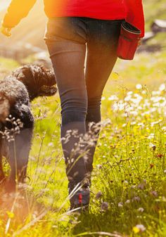 a woman walking with her dog on a sunny day in the grass and wildflowers