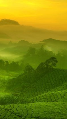 the sun is setting over some hills with trees and grass on them in the foreground