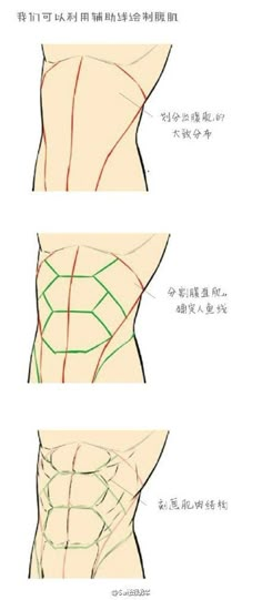 three different views of the back and side of a person's body, with chinese writing