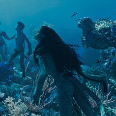 two people standing on top of a coral covered ocean floor next to an underwater plant