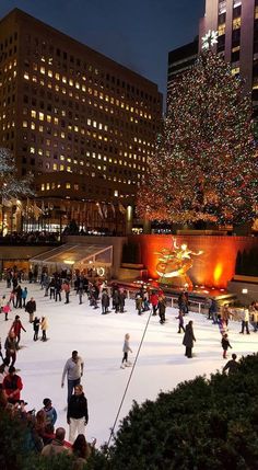 people skating on an ice rink in front of a large christmas tree and lit up buildings