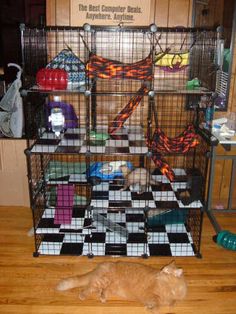 an orange cat laying on the floor in front of a cage with many items inside