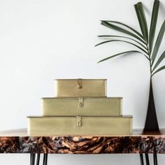 three suitcases stacked on top of each other in front of a potted plant