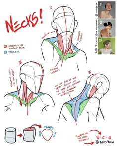 the back view of a man's head and neck, with instructions on how to draw