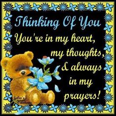 a teddy bear holding a blue flower with the words thinking of you, you're in my heart, my thoughts and always in my prayer