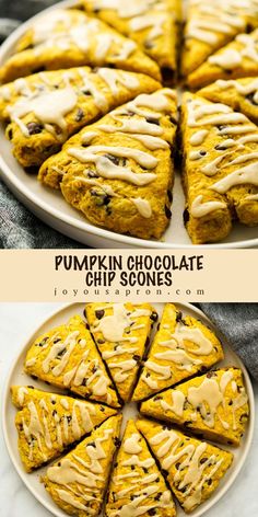 pumpkin chocolate chip scones on a white plate with the title in the middle and bottom