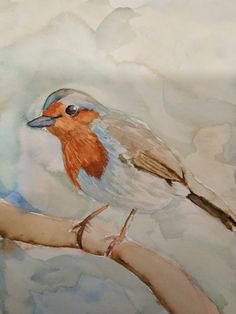 a watercolor painting of a bird sitting on a branch with clouds in the background