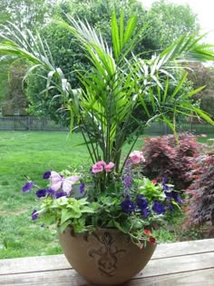 a potted plant sitting on top of a wooden table next to a lush green field