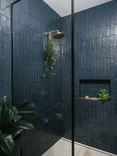 a shower with blue tiled walls and green plants in the corner, next to it