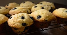 blueberry muffins cooling on a wire rack