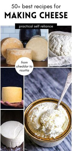 the best cheeses to make for making cheese