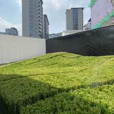 the green grass is growing on top of the building's roof and surrounding it are tall buildings