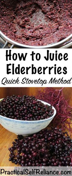 how to juice elderberries quick and sweeten method with this recipe for elder berries