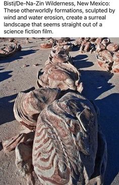 an image of some rocks in the sand