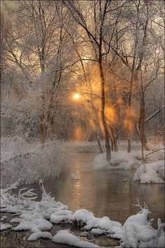 the sun shines through the trees over a small stream in a snowy forest with snow covered banks