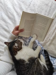 a cat laying on its back while reading a book