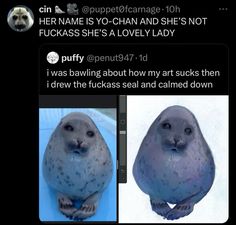 two pictures of a seal with different facial expressions on their faces, and one has the caption that says her name is yo - ohanand and she's not fukkas a lovely lady