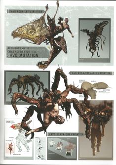 an image of some sort of creature with many different poses and body parts in it