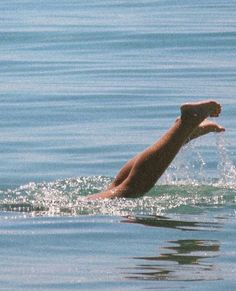 a person is swimming in the water with their feet above the water's surface