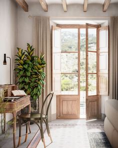 a living room filled with furniture and a potted plant