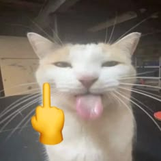 an orange and white cat with its tongue hanging out next to a yellow hand sign