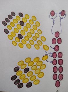 two drawings of different types of buttons on paper