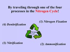 a diagram with arrows pointing to the four processes in the hydrogen cycle, which are labeled by