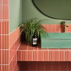 a bathroom sink with a bottle of wine next to it and a plant on the counter