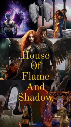 the cover for house of flame and shadow, with an image of two people in front of