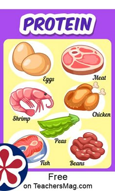 a poster with the words protein on it and pictures of different foods in front of it