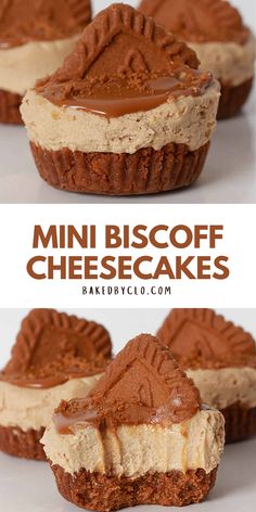 mini biscoff cheesecakes with chocolate frosting on top