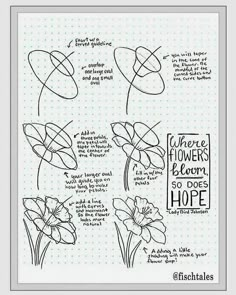 some flowers are drawn on a sheet of paper with the words where flowers bloom in hope