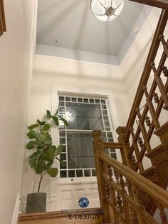 a staircase leading to a window with a potted plant on the bottom and below it