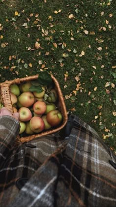 a person holding a basket full of apples in their hands on the grass with fallen leaves around them