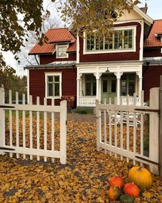 pumpkins and gourds in front of a red house with white picket fence