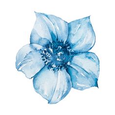 a blue flower on a white background with watercolors in the bottom right corner