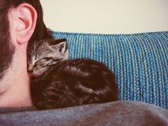 black and white photograph of a man holding a kitten on his chest while he sleeps