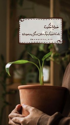 a person holding a potted plant in their hands