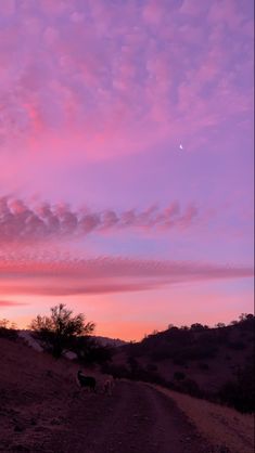 the sky is pink and purple as the sun sets in the distance with sheep grazing on the side