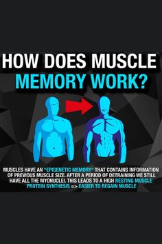 How difficult is it to recover muscle mass? It turns out that "Muscle Memory" is genuine, and as many of us have discovered, regaining lost muscle is significantly easier than gaining it for the first time. In fact, our muscle fibers appear to have a "epigenetic memory," which describes how the cell's DNA changes over time, including information about its prior size. Total Gym Exercise Chart, Fitness Knowledge, Fitness Benefits, Memory Exercises, Gym Program, Self Esteem Activities, Personal Training Business, Memory Words