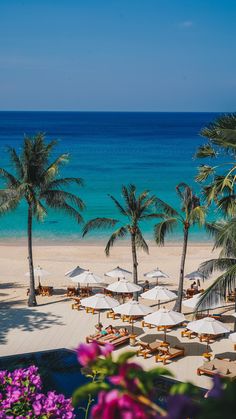 the beach is lined with umbrellas and palm trees