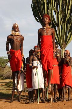 a group of people standing next to each other near a large green cactus in the desert